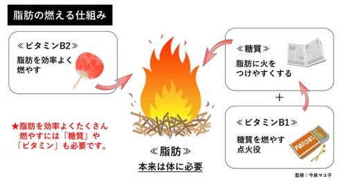 バランスの良い食事で理想的なダイエット 缶詰 びん詰 レトルト食品情報 公益社団法人日本缶詰びん詰レトルト食品協会 Japan Canners Association